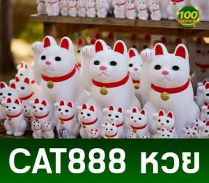 Read more about the article cat888 หวย ออนไลน์สมัครง่ายพร้อมแนะนำวิธีแทงหวยให้เข้าใจง่ายๆ