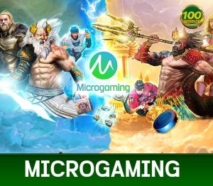 Read more about the article Micro Gaming สมัครmg slot เว็บตรง ง่ายๆไม่ผ่านเอเย่นต์