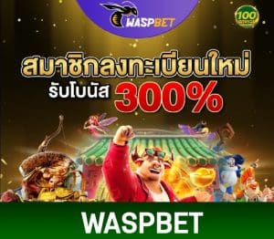 Read more about the article waspbet เว็บทำเงินอันดับ1